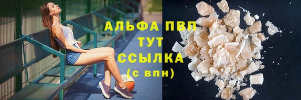 трава Арсеньев