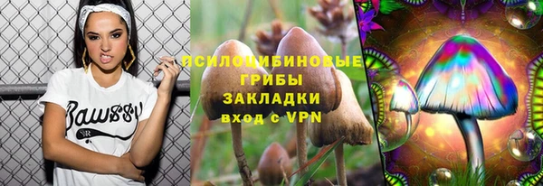 мескалин Алексин
