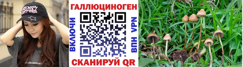 Псилоцибиновые грибы мицелий  магазин продажи   МЕГА ссылки  Майкоп 